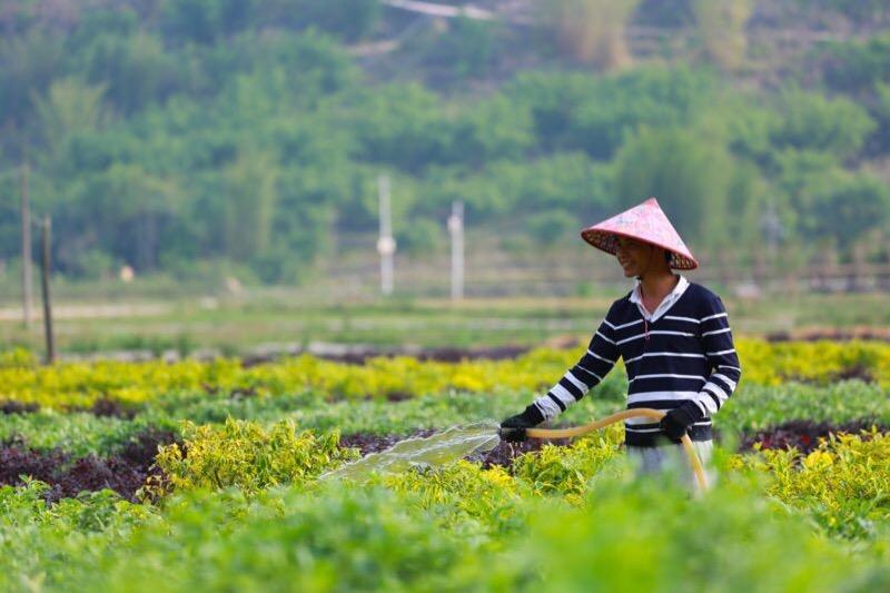 在一个战场打赢脱贫和环保两场仗